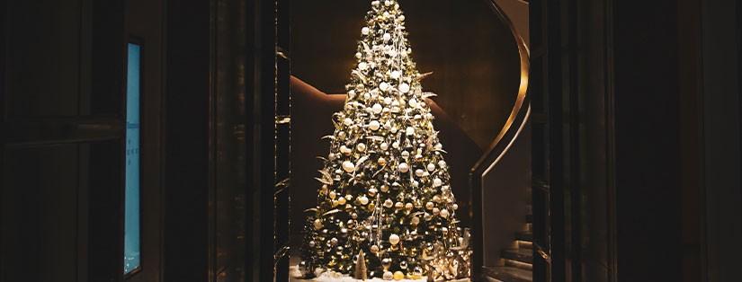 Les traditions de Noël en Provence : nos idées pour le célébrer