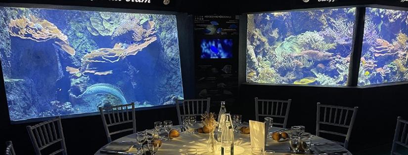 L’Aquarium de Lyon : quand la biodiversité inspire vos événements