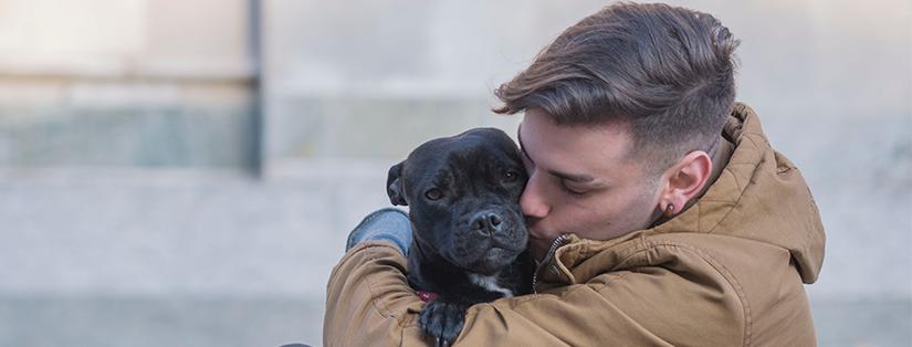 Organiser un évènement pet friendly
