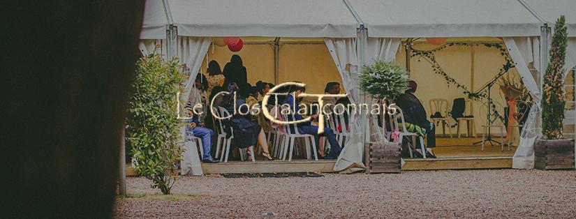 Domaine du Clos Talançonnais                            