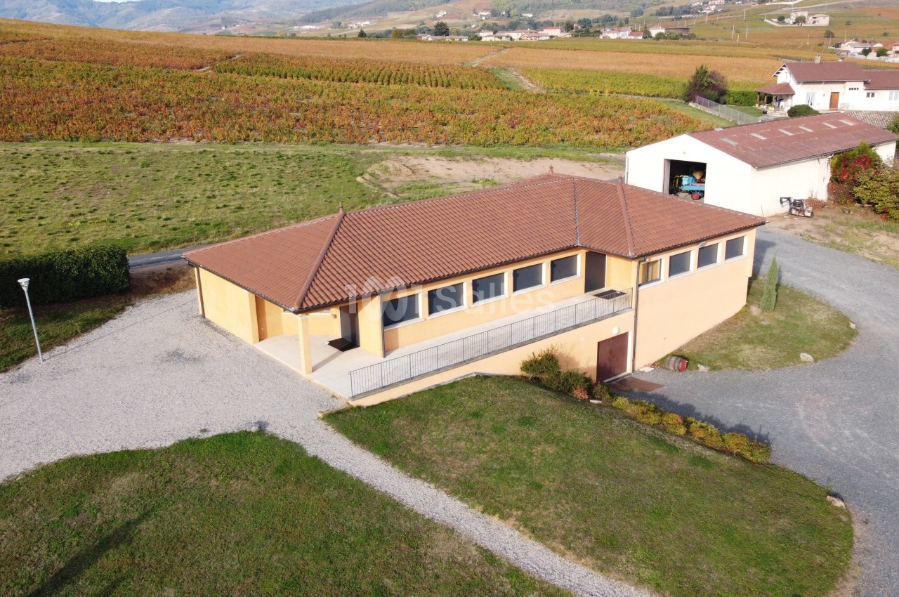 Bâtiment beige à toit rouge entouré de vignes et de champs, avec un chemin en gravier menant à l'entrée.