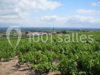 Vignes verdoyantes s'étendant sur une colline sous un ciel partiellement nuageux, avec un village en arrière-plan.