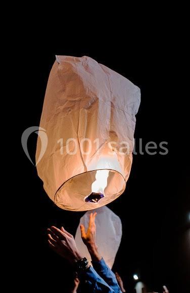 Domaine de la Tuilerie - galerie - photo 20