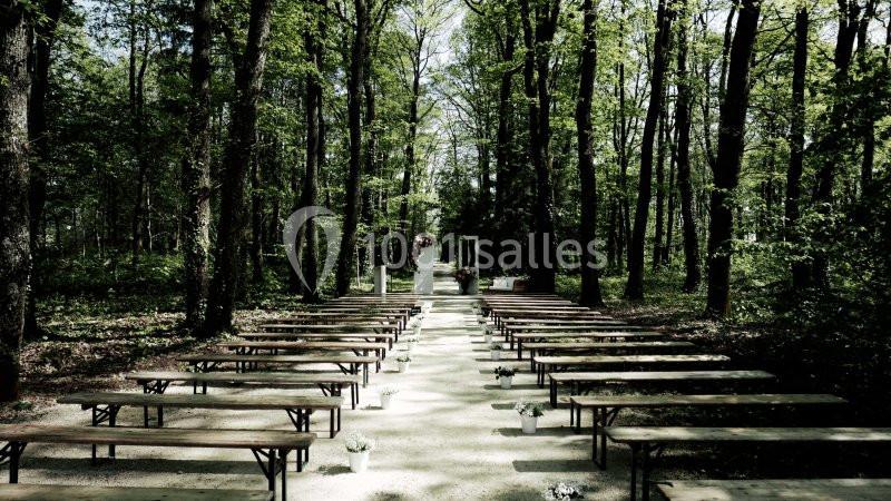Allée centrale bordée de bancs en bois dans une clairière forestière, aménagée pour une cérémonie en plein air.