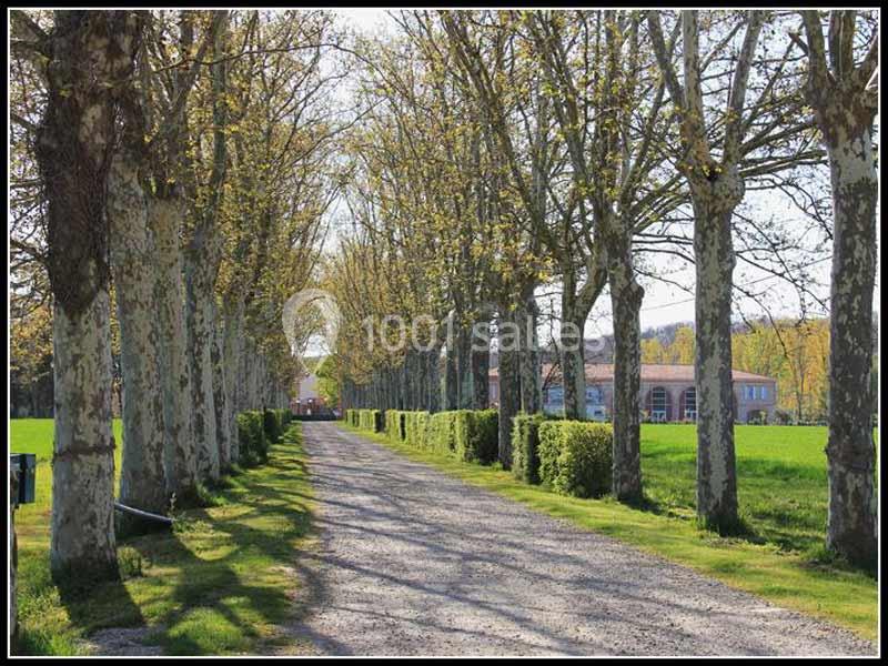Le Domaine De Balestat - galerie - photo 17