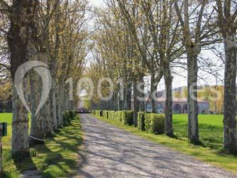 Domaine de Balestat - galerie - photo 4