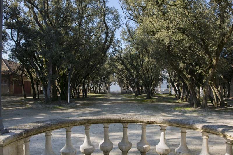 Les Salons Du Parc - photo 4