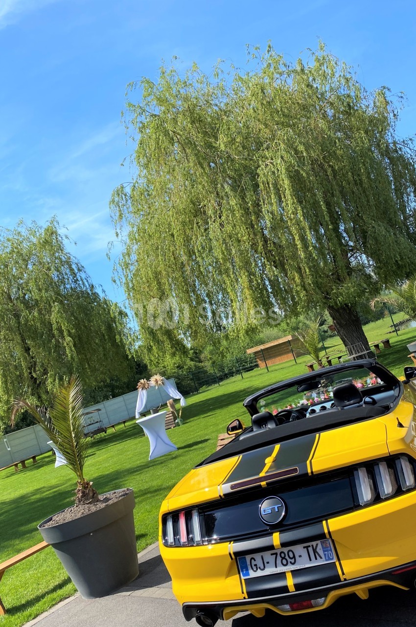 Voiture décapotable jaune et noire garée près d'arbres et de pelouse sous un ciel bleu.