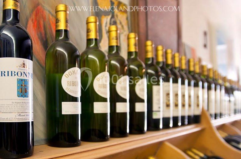 Domaine De Ribonnet - galerie - photo 6