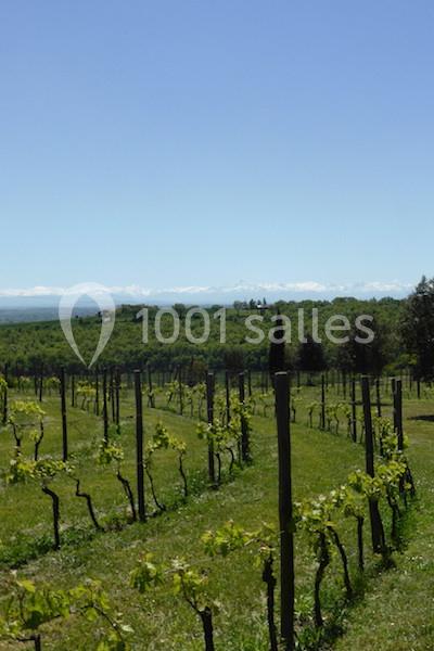 Domaine De Ribonnet - galerie - photo 12