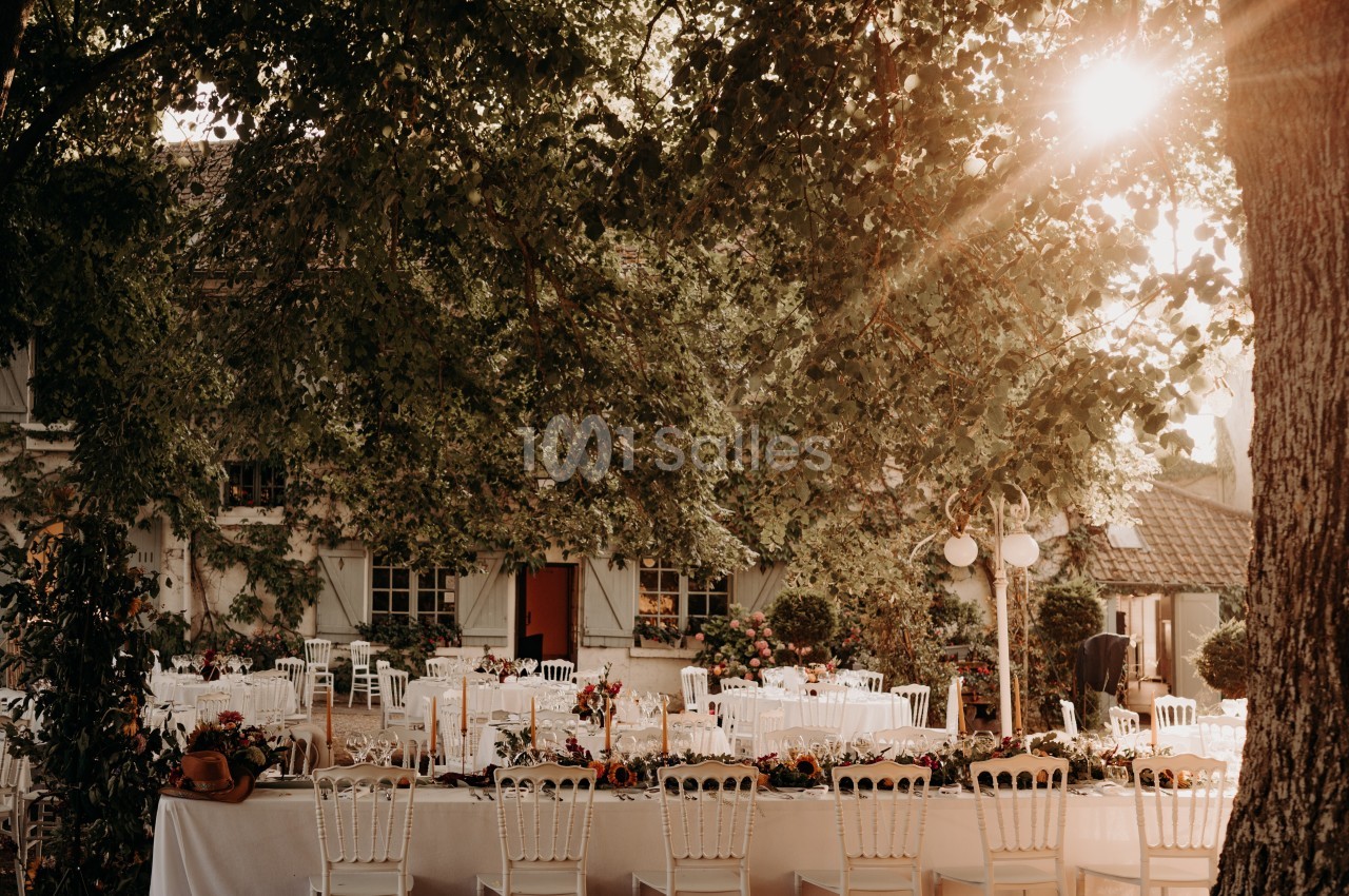 Tables décorées pour un événement en plein air sous des arbres, avec lumière du soleil filtrant à travers le feuillage.