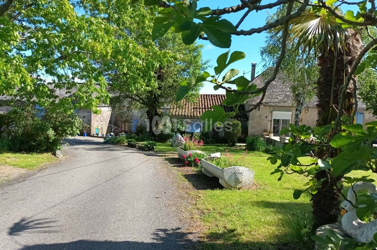 Chemin bordé de verdure menant à des maisons en pierre sous un ciel bleu, avec arbres et fleurs en premier plan.