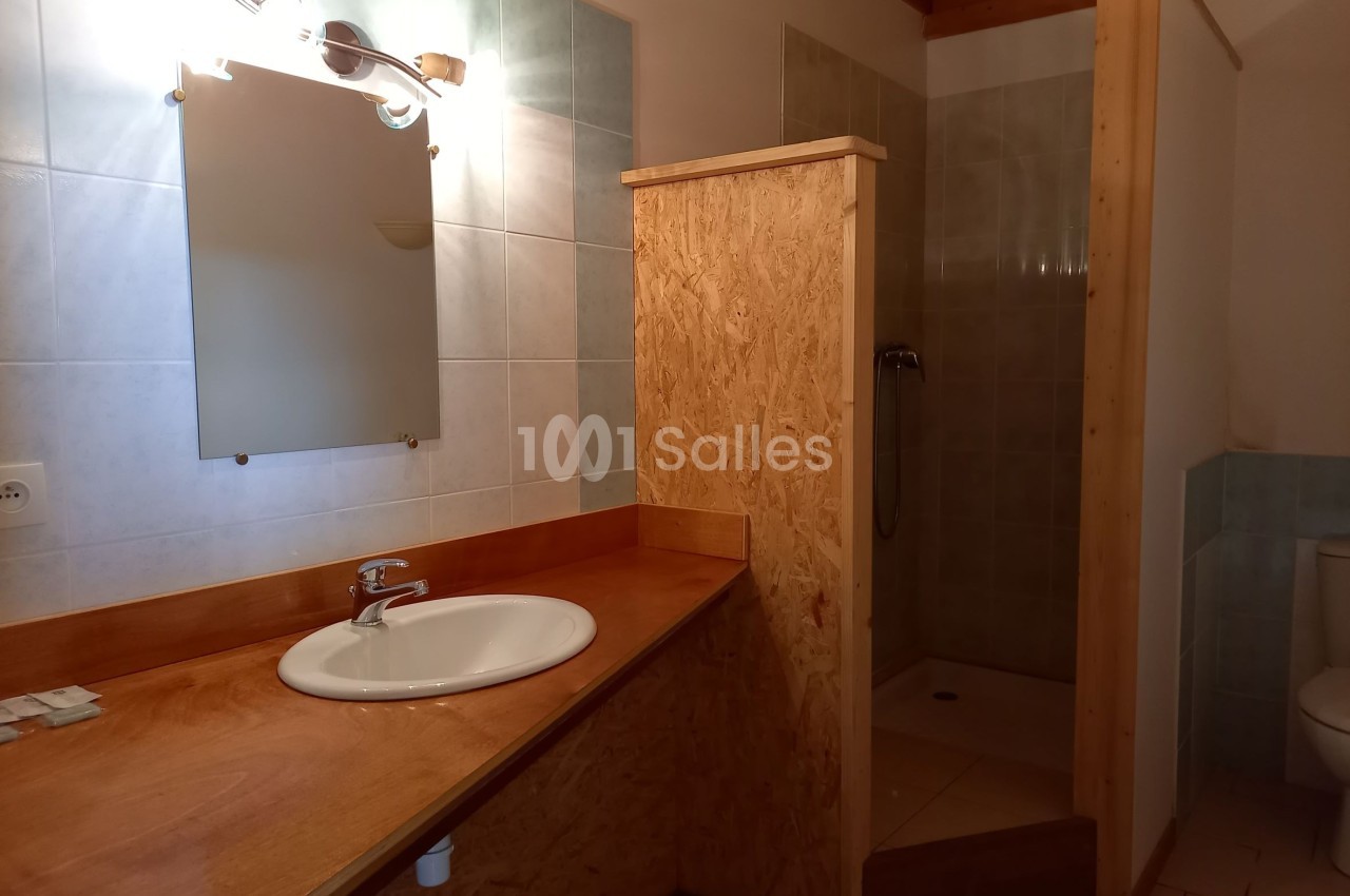 Salle de bain avec lavabo en bois, miroir éclairé, douche ouverte et toilettes partiellement visibles.