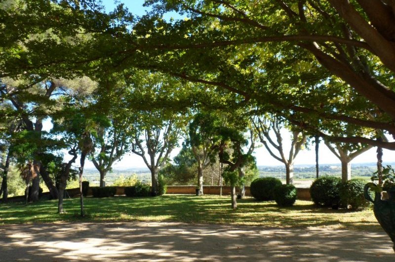 Domaine De La Tour - photo 3