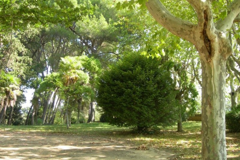 Domaine De La Tour - photo 5