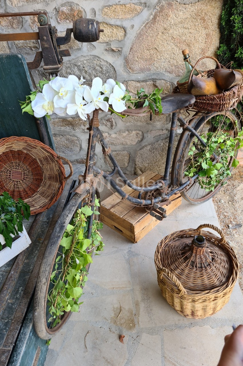 Vélo ancien décoré de fleurs blanches et de feuillage, entouré de paniers en osier sur une terrasse en pierre.