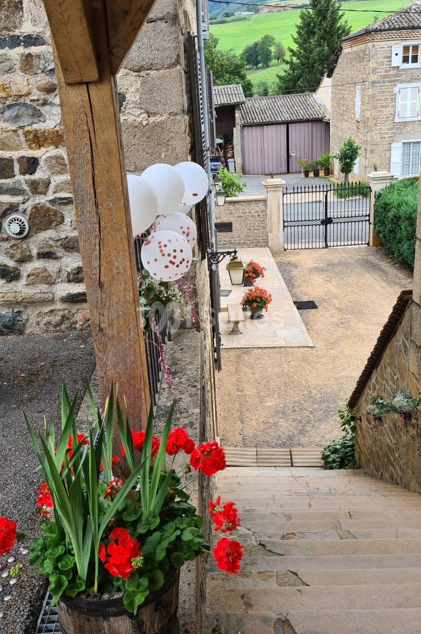 Escalier en pierre bordé de géraniums rouges, menant à une cour avec des ballons blancs et une vue sur des bâtiments en…