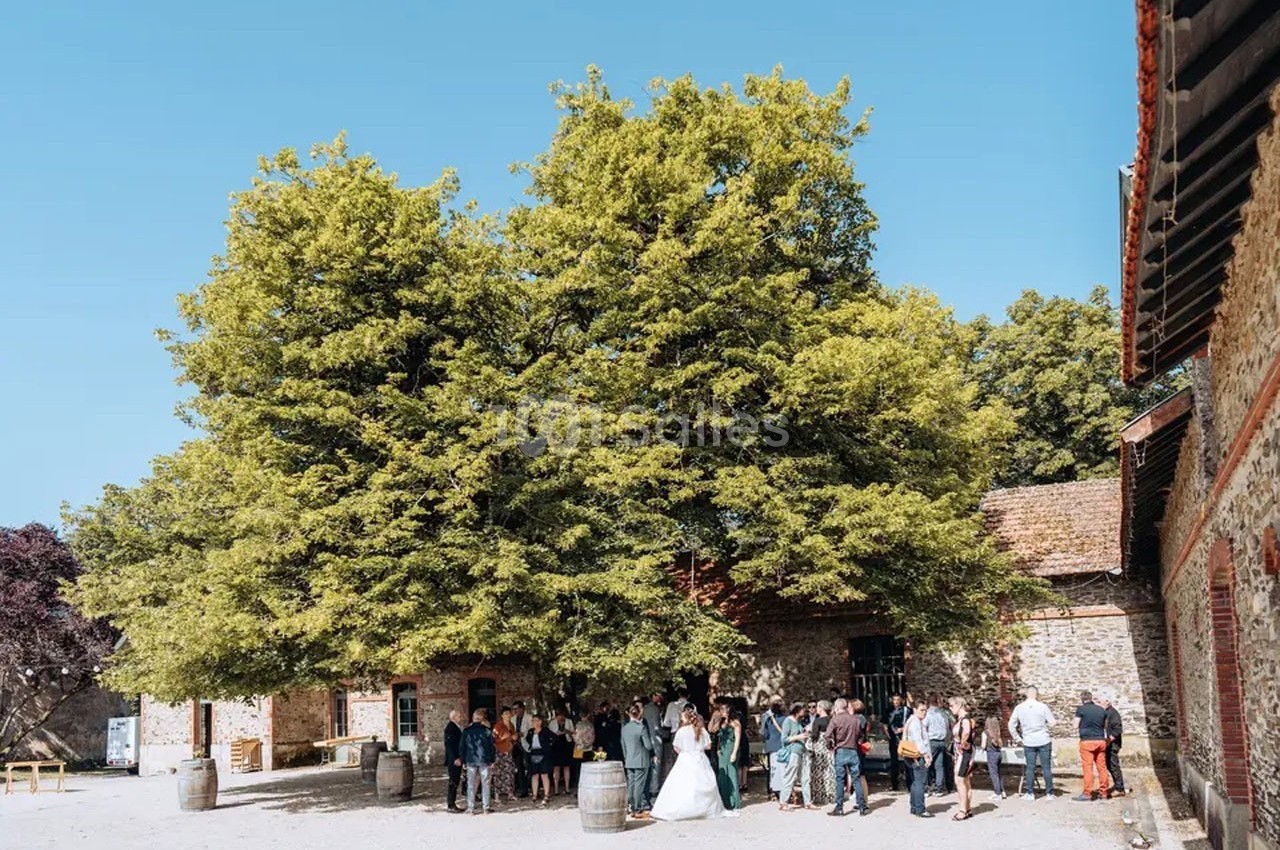 Un groupe de personnes rassemblées sous de grands arbres devant des bâtiments en pierre par une journée ensoleillée.