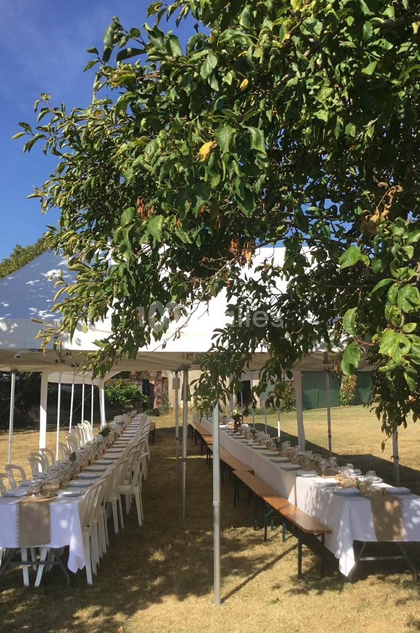 Tables dressées sous une tente blanche dans un jardin, entourées d'herbe et partiellement ombragées par un arbre.