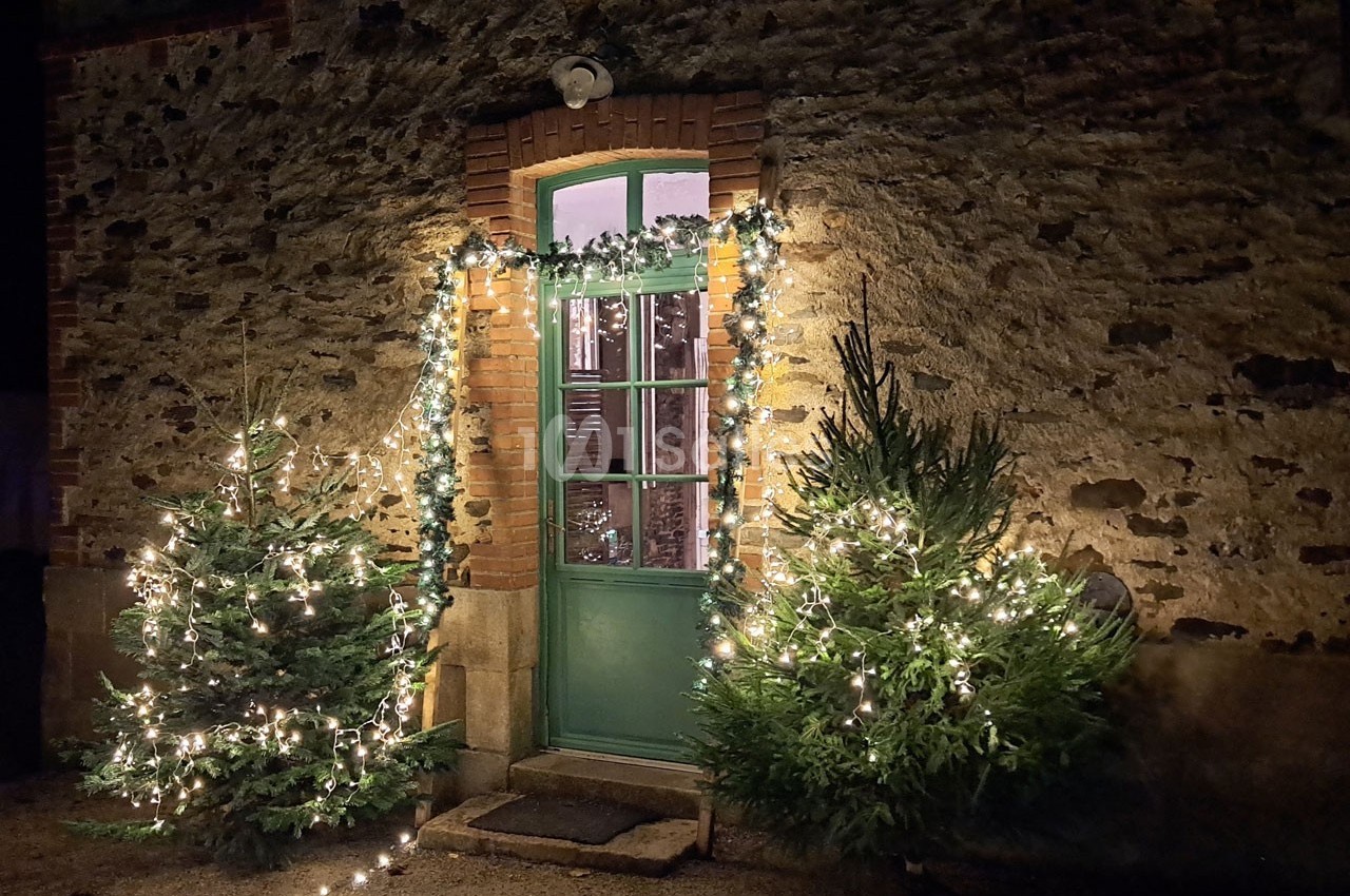 Entrée d'une maison en pierre décorée de guirlandes lumineuses et entourée de deux sapins éclairés.