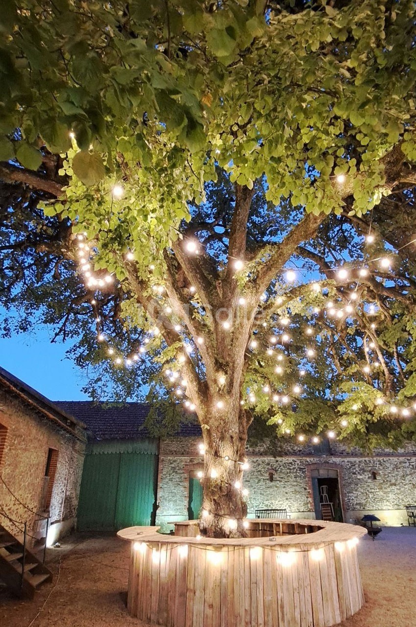 Arbre illuminé par des guirlandes lumineuses dans une cour en soirée, entouré de bâtiments en pierre.
