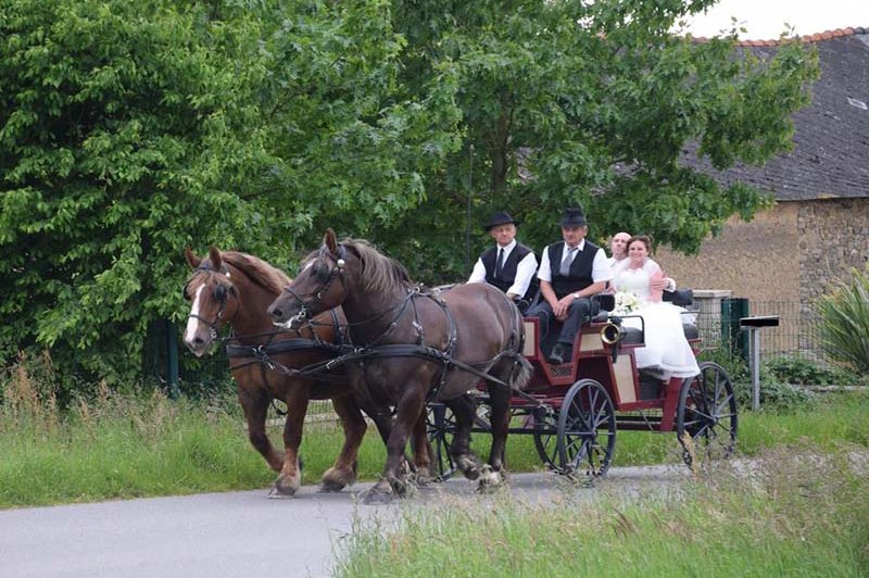 Le Clos du Chatelier - photo 4