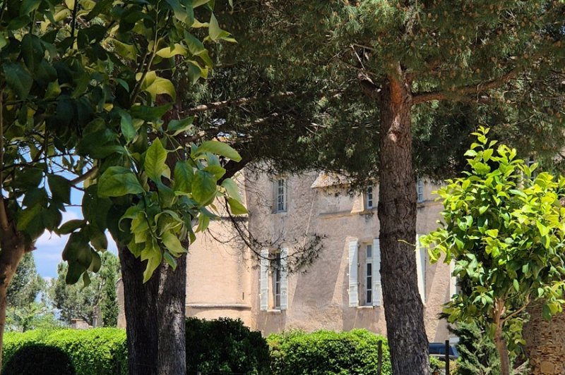 Château de Perdiguier - photo 2