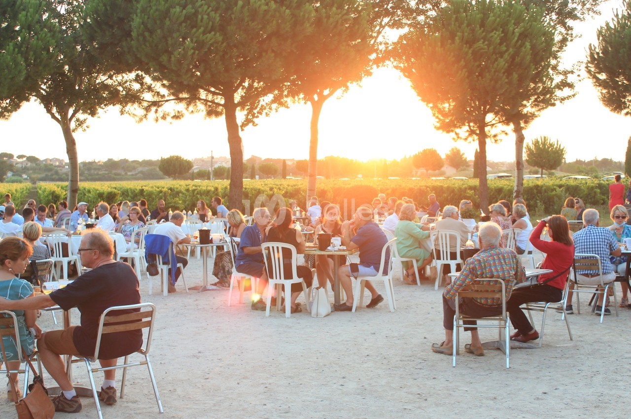 Des personnes assises à des tables en extérieur, sous des arbres, profitant d'un coucher de soleil dans un cadre champêtre.