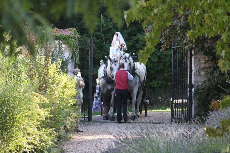 La Ferme de la Borde - photo 4