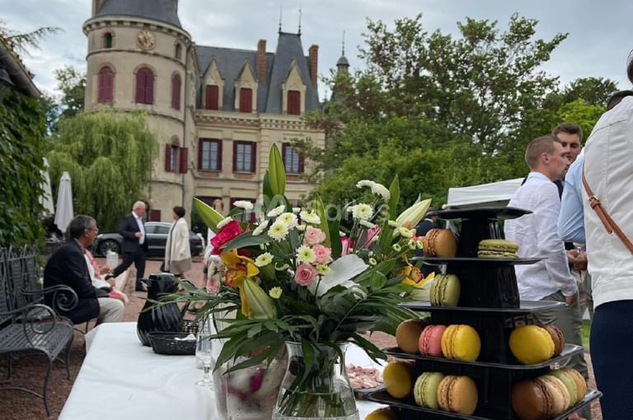 Château des Landes - galerie - photo 33