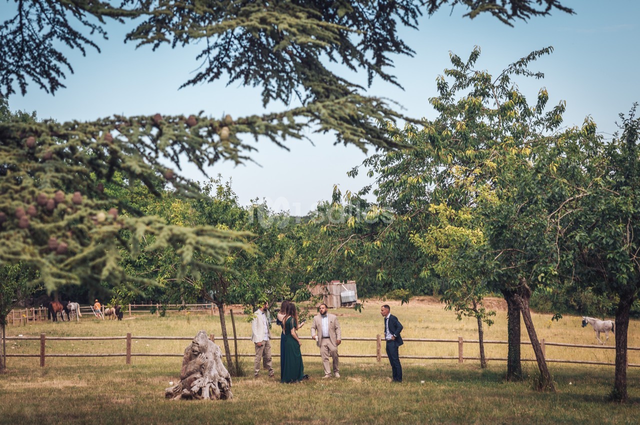 Un petit groupe de personnes discute dans un pré entouré d'arbres, avec des chevaux visibles en arrière-plan.