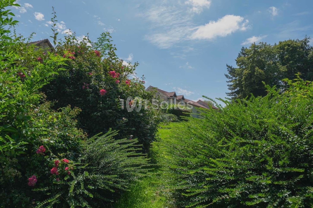 Jardin verdoyant avec des buissons fleuris et des arbres, sous un ciel bleu parsemé de nuages.
