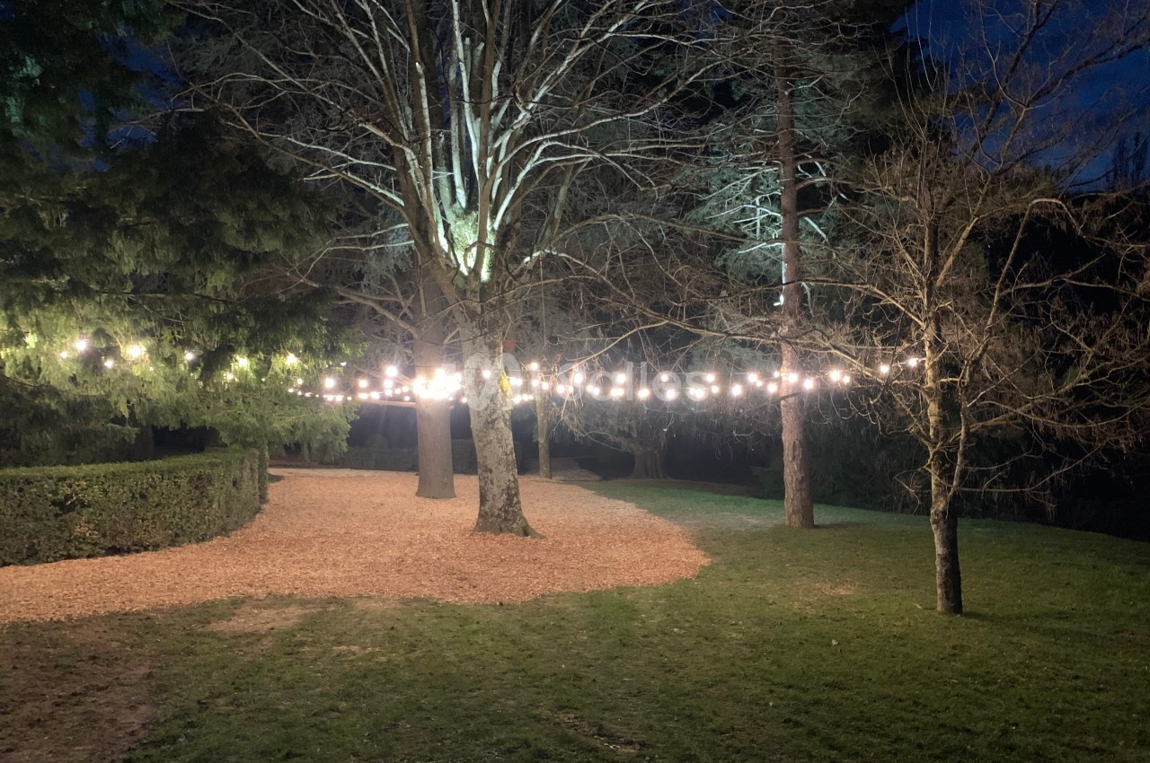 Guirlandes lumineuses suspendues entre des arbres dans un jardin éclairé en soirée.