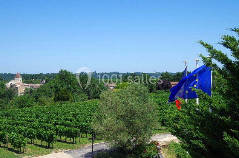 Vue d'un vignoble verdoyant avec un village en arrière-plan et des drapeaux européens flottant au premier plan.