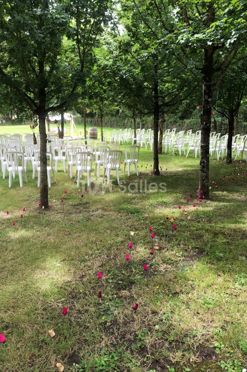 Chaises blanches disposées en rangées sous des arbres, avec des fleurs rouges plantées dans l'herbe.