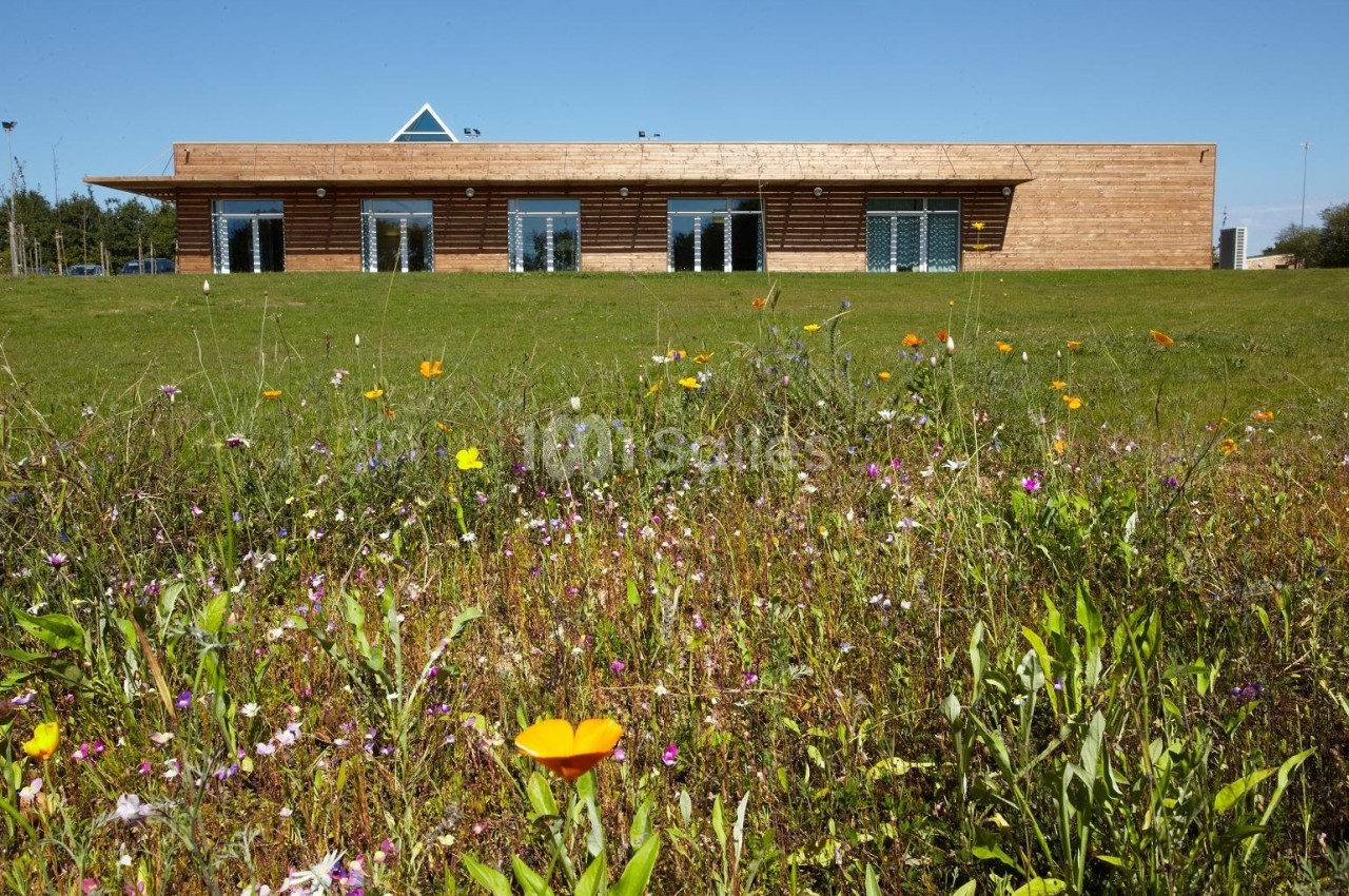 Bâtiment en bois avec de grandes baies vitrées, entouré d'une prairie fleurie sous un ciel bleu.