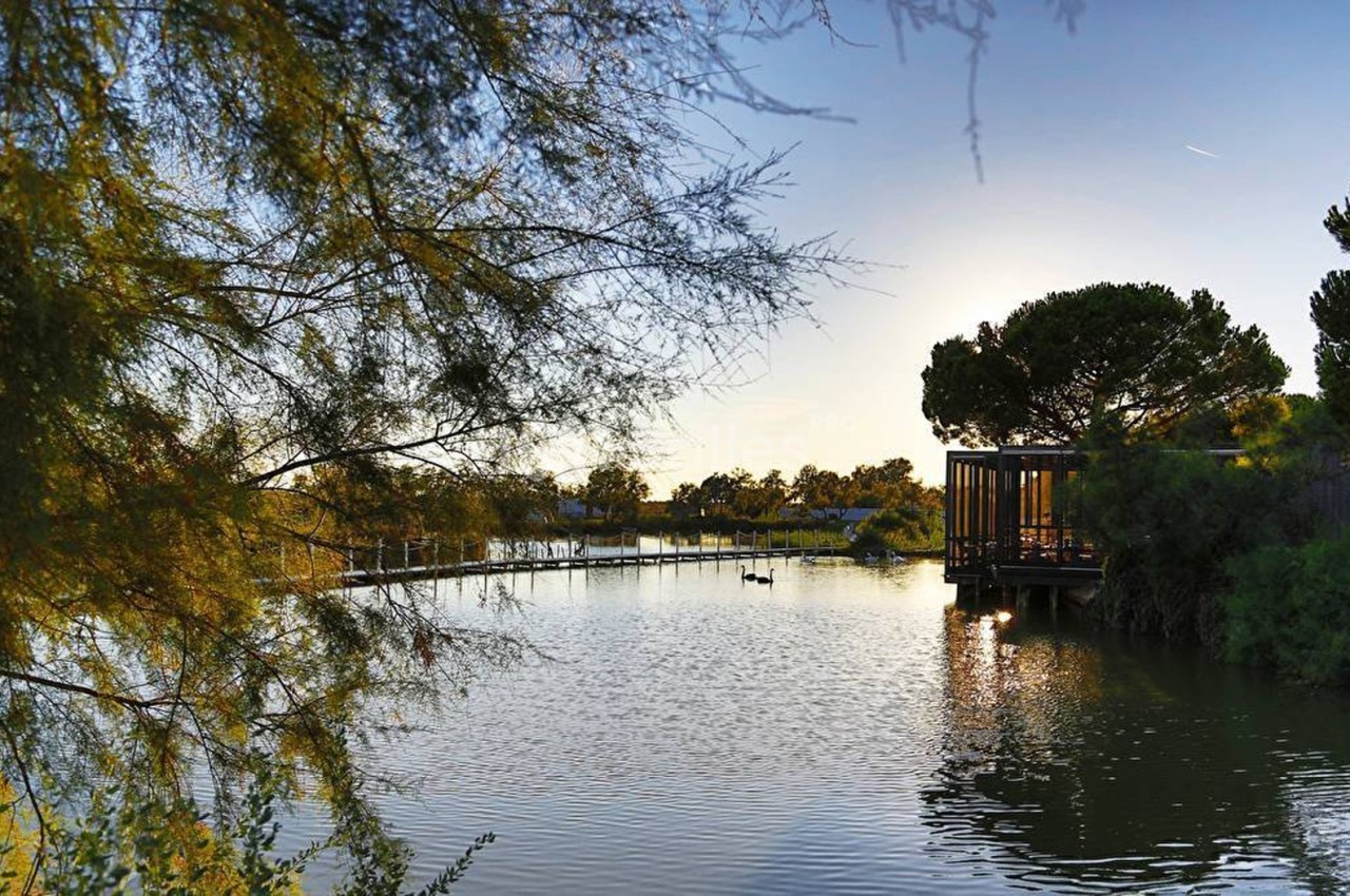 Étang entouré de végétation avec un ponton en bois et des arbres, éclairé par une lumière de fin de journée.