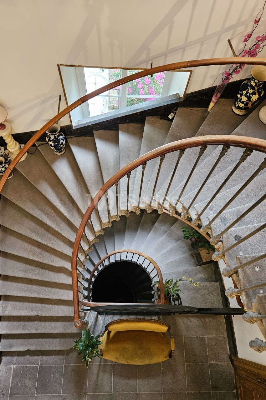 Escalier en colimaçon vu de dessus, avec rampe en bois, plantes et lumière naturelle provenant d'une fenêtre.