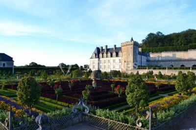 Château De Villandry - photo 4