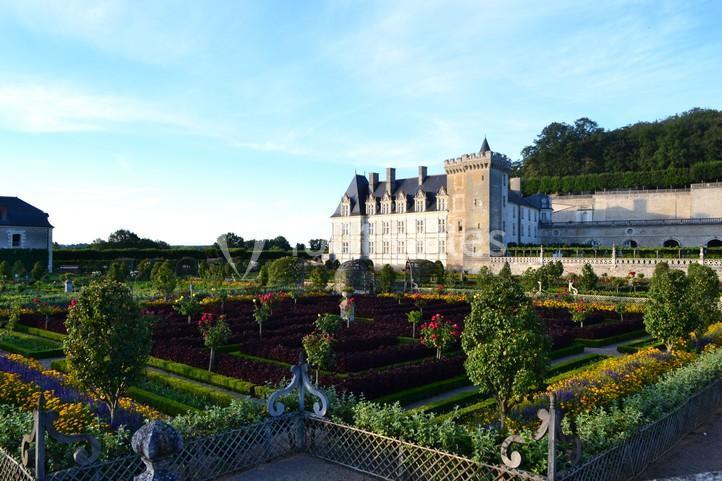 Château De Villandry - galerie - photo 4