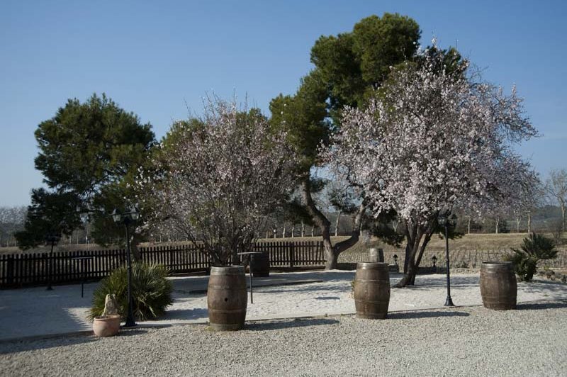 Domaine De L'ale - photo 2