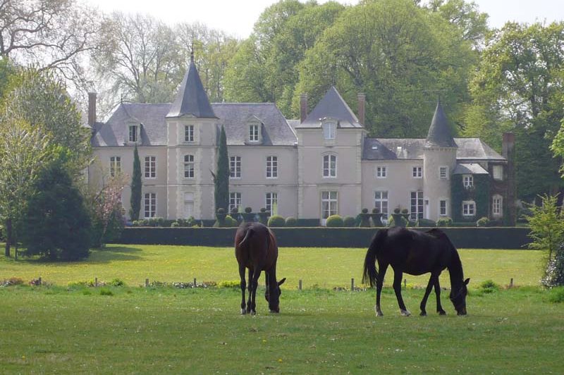 Haras De La Potardière - photo 3