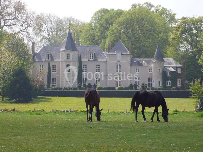 Haras De La Potardière - galerie - photo 3