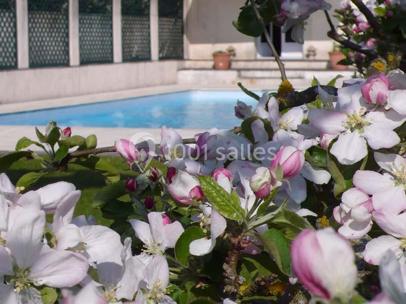 Haras De La Potardière - galerie - photo 13