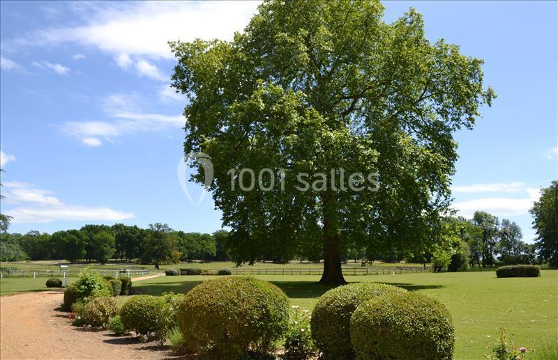 Haras De La Potardière - galerie - photo 16