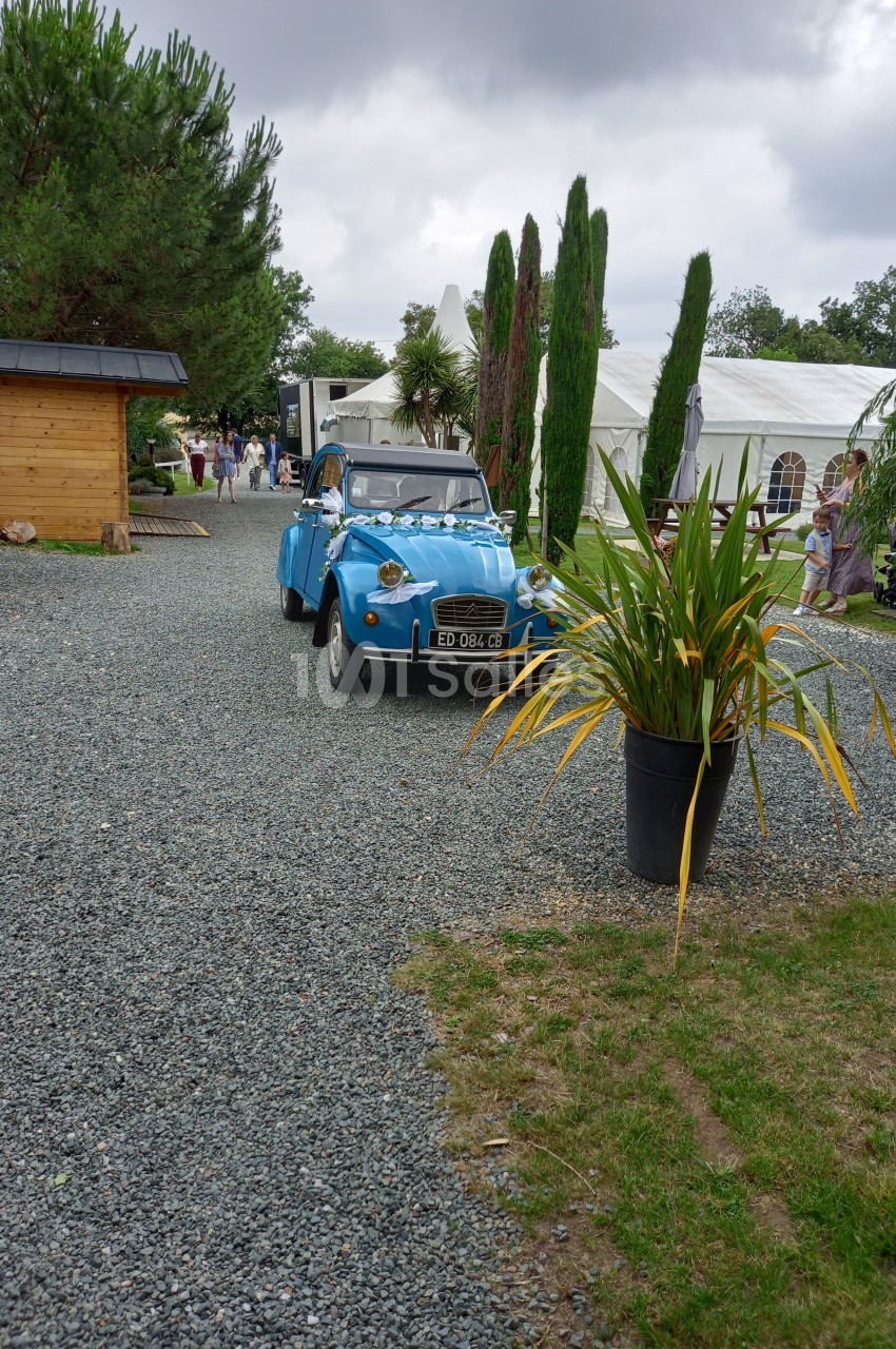 Une voiture ancienne bleue circule sur une allée gravillonnée bordée de végétation et de structures blanches.