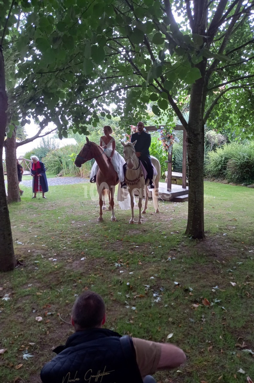 Un couple en tenue de mariage est assis sur des chevaux dans un jardin, entouré d'arbres et de verdure.