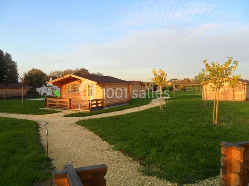 Chalets en bois dans un espace vert avec allées gravillonnées et jeunes arbres sous un ciel dégagé.