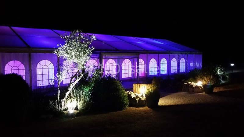 Tente éclairée en violet et bleu dans un jardin nocturne avec des arbustes et un arbre illuminé au premier plan.