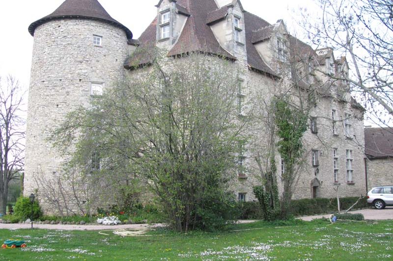 Des Roses et des Tours - photo 1